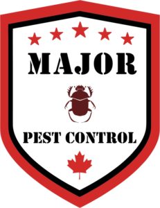 Major pest control canmore, insect removal and wildlife removal, bed bug exterminator