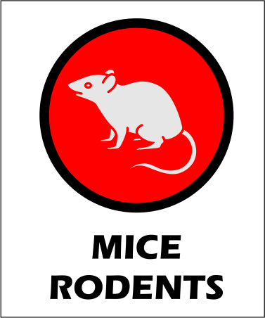 mouse and rodent control red deer pest company. mouse extermination service in red deer icon for mouse control and rodent control